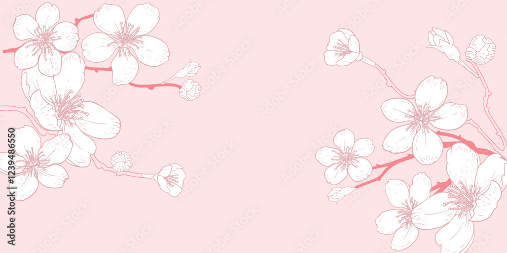 Vector horizontal pink background with line art of sakura branch with flowers. Hand drawn cherry branches. Vector illustration. Vector horizontal pink background with line art of sakura branch with flowers. Hand drawn cherry branches. Vector illustration.