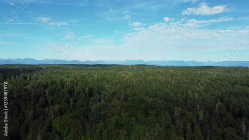 Flying over an expansive forest in British Columbia photo