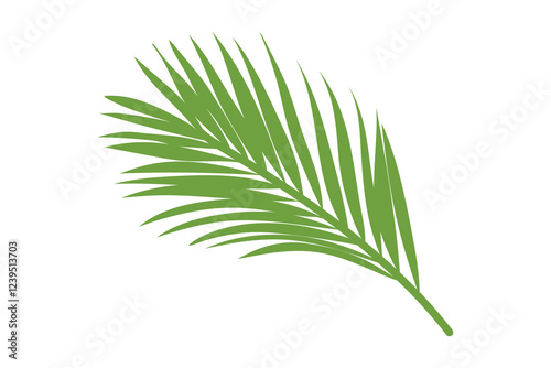 palm leaves. palm. large leaves of a gastrointestinal tree. Pattern of leaves. nature. greens. biology. ecology. 