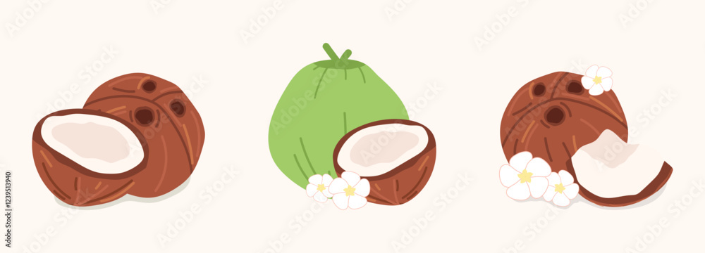 Obraz premium coconut. green coconut. drinking coconut. A tropical fruit. coconut grew on a palm tree. coconut milk. an exquisite cocktail. a fruit painted in a flat style. vector. delicious milk.