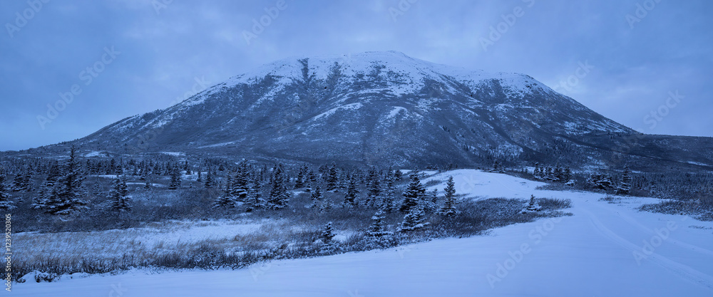 Fototapeta premium Clouds over mountain in interior Alaska