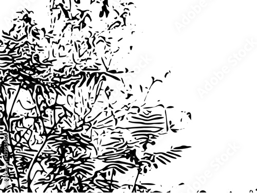 Grunge texture black and white. Vector editable. Top view