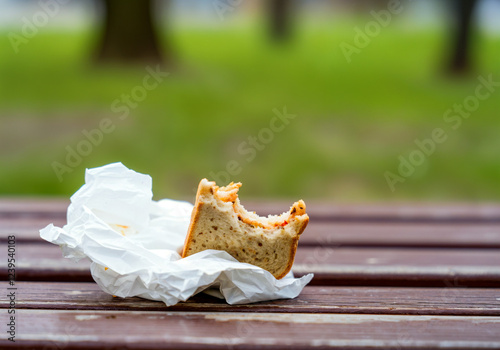 Half eaten sandwich left on a park bench, highlighting food waste issues and responsible consumption in public spaces