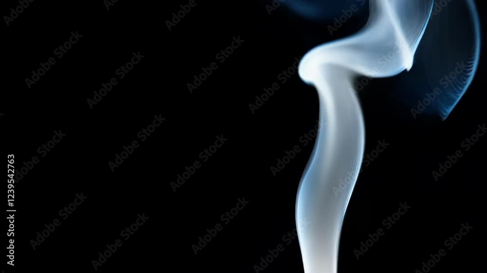 White smoke wisps curling and rising dynamically against stark black background, generating ethereal abstract visual with organic movement and intriguing atmospheric qualities White smoke wisps curling and rising dynamically against stark black background, generating ethereal abstract visual with organic movement and intriguing atmospheric qualities