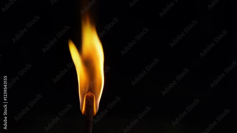Realistic fire effect shows a burning match with flames moving and changing shape on a black background, perfect for visual effects and motion graphics Realistic fire effect shows a burning match with flames moving and changing shape on a black background, perfect for visual effects and motion graphics