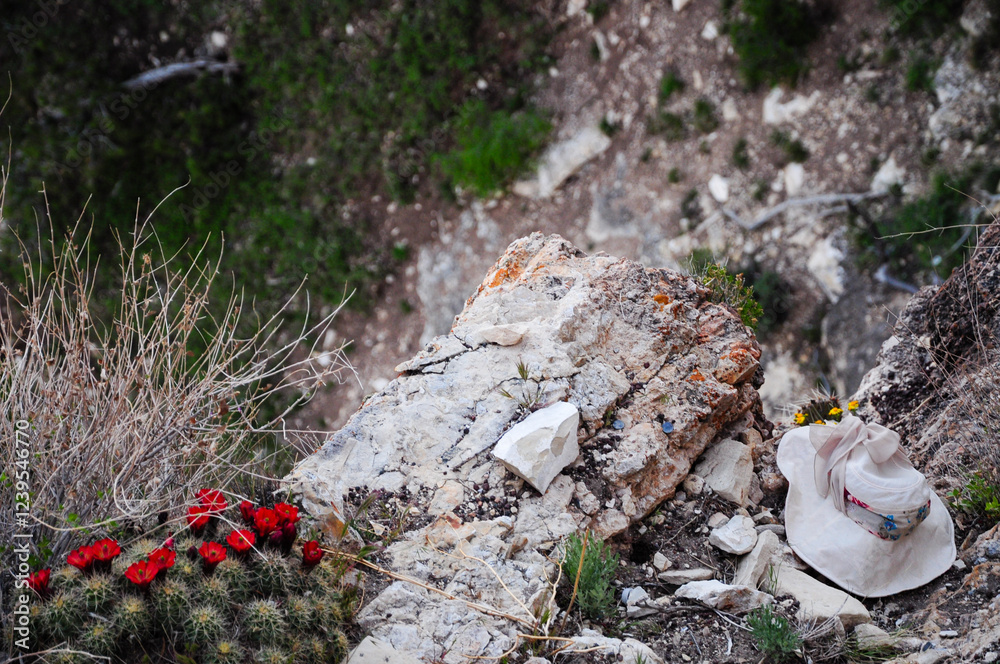 Canyon edge with rocks, wildflowers, and sunhat on cliff Canyon edge with rocks, wildflowers, and sunhat on cliff