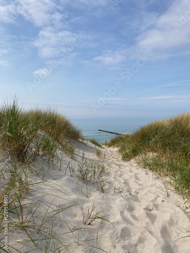 Fototapeta Naklejka Na Ścianę i Meble -  sand dunes on the beach and sea view