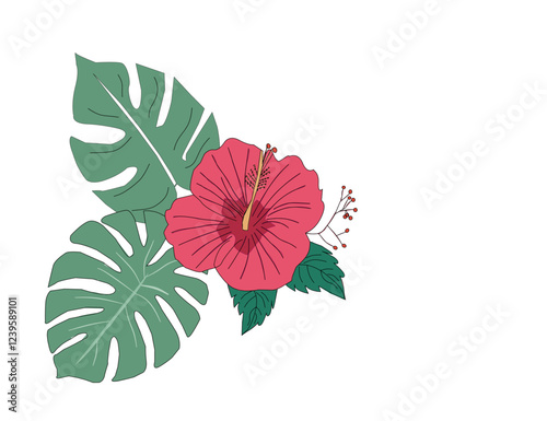 hibiscus flower. Hibiscus flower vector. Colorful hibiscus flower with tropical leaf. Flower vector. Hibiscus flower with monstera.  Hibiscus flowers and monstera leaves.