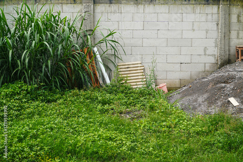 An overgrown area with various waste materials next to a white brick wall. Overgrown Lot beside a White Brick Wall