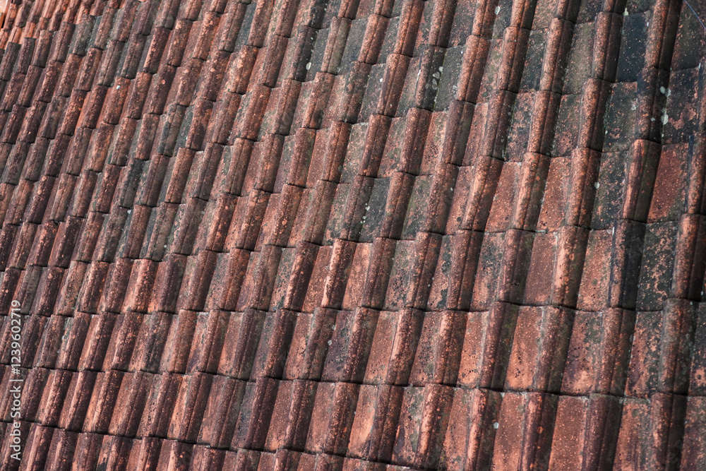 Close-up view of aged terracotta roof tiles, showcasing their rich texture and repeating patterns. The image is rich in warm tones. Ancient Red Tile Roof Texture: Awe-Inspiring Architectural Detail Close-up view of aged terracotta roof tiles, showcasing their rich texture and repeating patterns. The image is rich in warm tones. Ancient Red Tile Roof Texture: Awe-Inspiring Architectural Detail