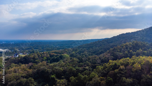 Breathtaking aerial view of lush green forest covering rolling hills under cloudy sky