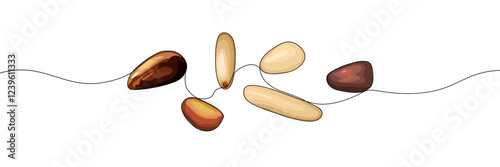 Vector illustration of pine nuts in various shades of brown and beige, connected by a thin black thread, isolated on a transparent background.