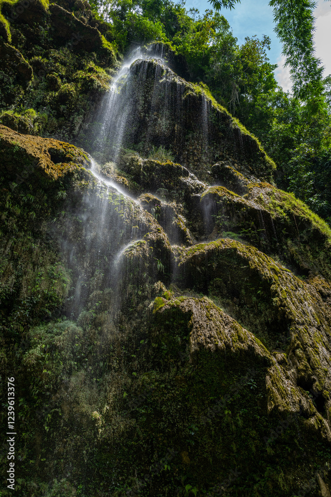 Fototapeta premium Serene waterfall cascading down a moss-covered cliff face, surrounded by lush green foliage.
