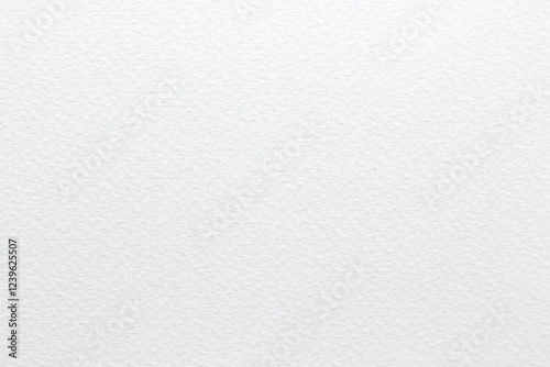 Vector paper texture. White watercolor paper background.