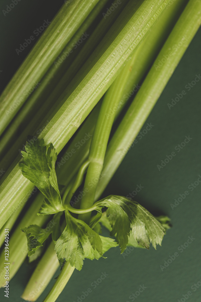 Obraz premium Fresh green celery stalks with crisp leaves on a dark green background. Close-up of healthy organic vegetable with vibrant color and texture, ideal for food, diet, and nutrition concepts