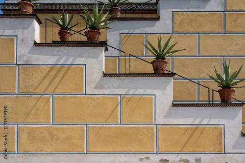 Sunlit agave plants in terracotta pots accentuate a modern outdoor staircase with a striking geometric wall design.