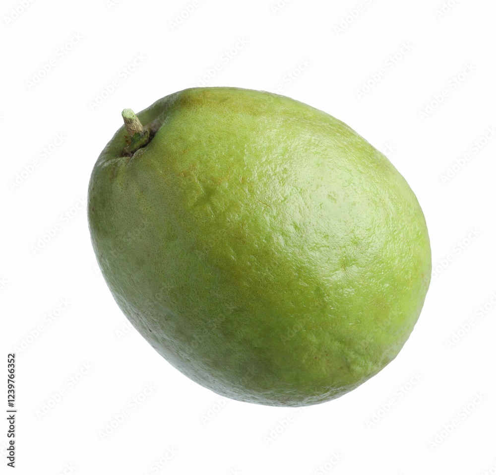 One fresh guava fruit isolated on white One fresh guava fruit isolated on white