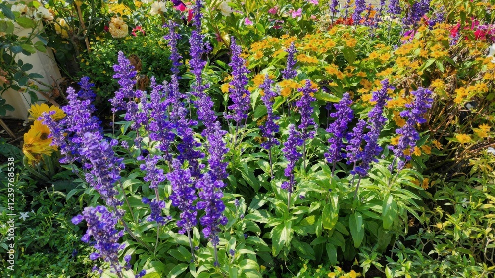 Fototapeta premium Vibrant Purple Flowers Surrounded by Colorful Blooms in Garden