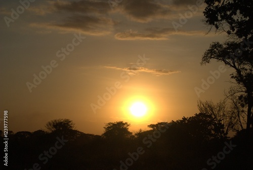 Unos atardeceres espectaculares adornados con el vuelo de las garzas y la cantidad de arboles.