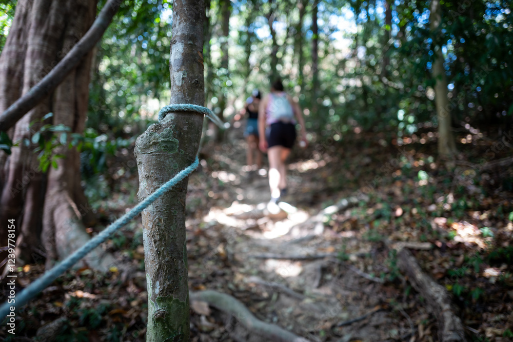 A guiding rope assists hikers on a scenic forest trail, sunlight dappling through the lush canopy. A guiding rope assists hikers on a scenic forest trail, sunlight dappling through the lush canopy.