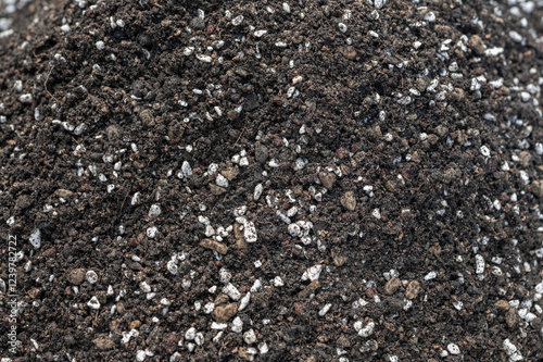 Full frame shot of good potting soil mix for planting cactus and succulents. Soil for cactus plants needs to be porous and free draining so it doesn't hold on to moisture.