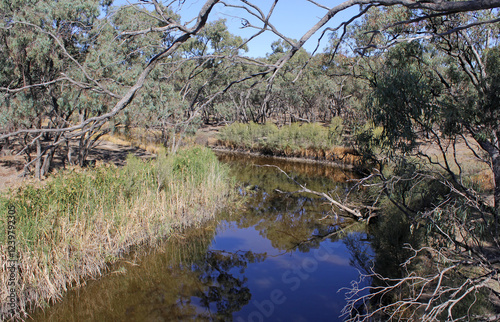 Richardson River surrounded by grass and trees in Donald, Victoria, Australia