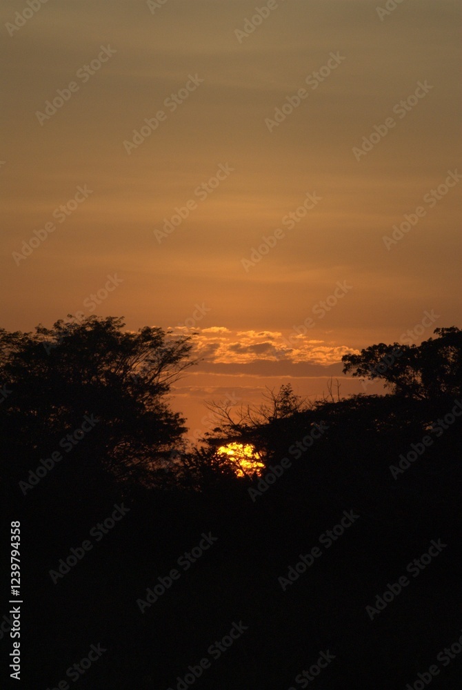Unos atardeceres espectaculares adornados con el vuelo de las garzas y la cantidad de arboles. Unos atardeceres espectaculares adornados con el vuelo de las garzas y la cantidad de arboles.