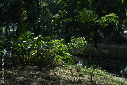 Schilderij op canvas Bosques y grandes espacios en el Estado Portuguesa