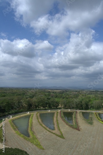 Estado Portuguesa.
Un estado llanero que cuenta con inmensas llanuras y espacios llenos de bosques y areas para la cria del ganado.