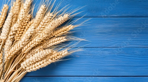 A bundle of wheat stalks arranged on a blue wooden surface.
