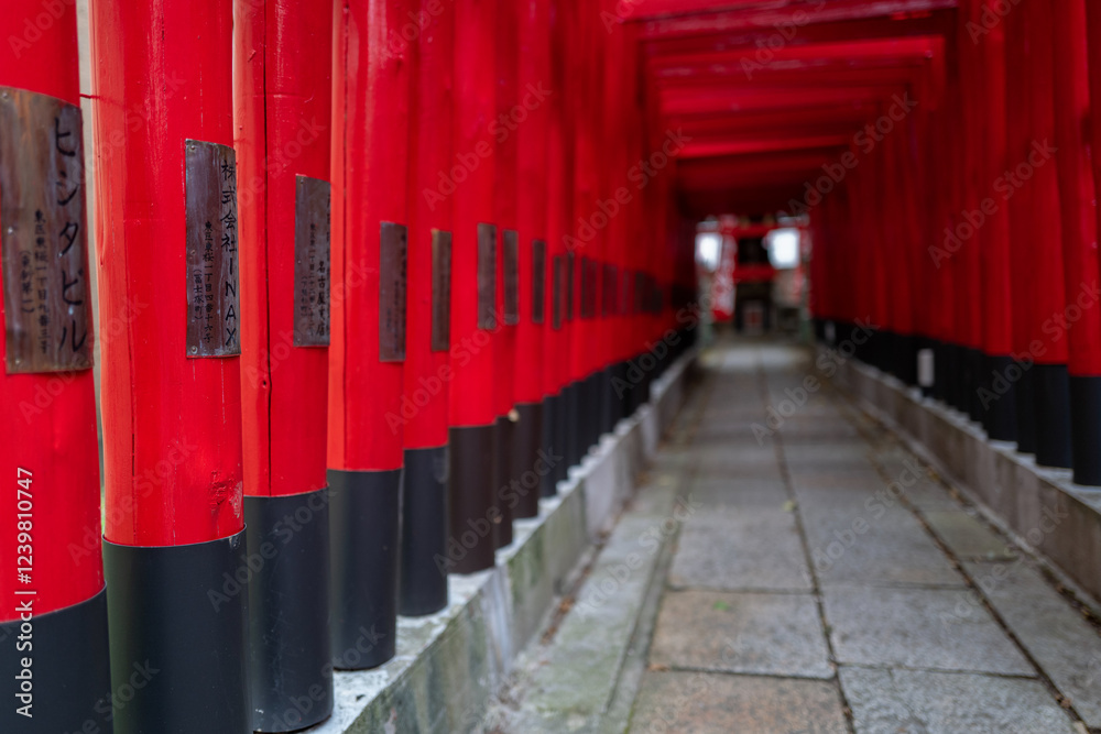 Fototapeta premium A captivating pathway of vibrant red torii gates leads to a serene Japanese shrine, promising tranquility and cultural exploration.