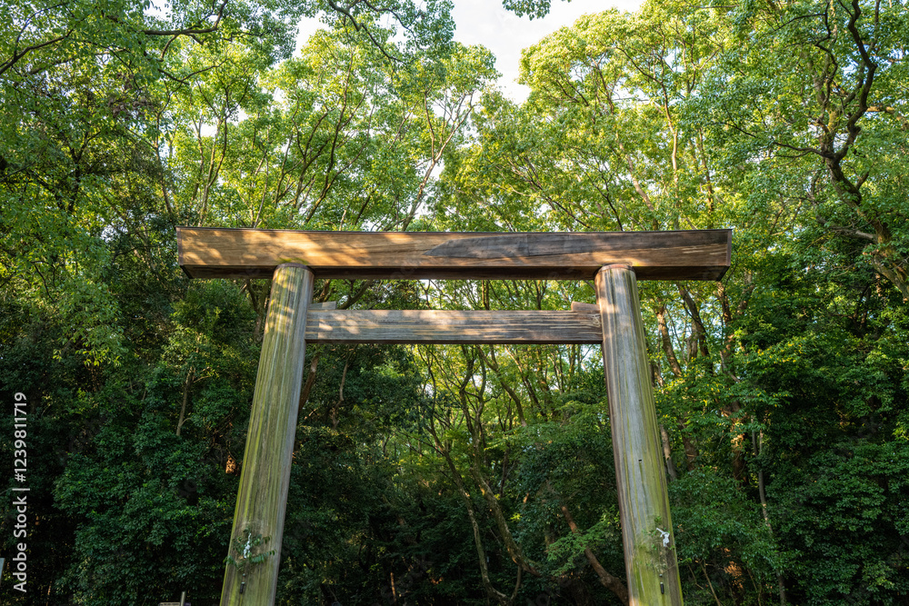 A majestic wooden torii gate stands as a tranquil entrance to a serene forest in Japan. A majestic wooden torii gate stands as a tranquil entrance to a serene forest in Japan.