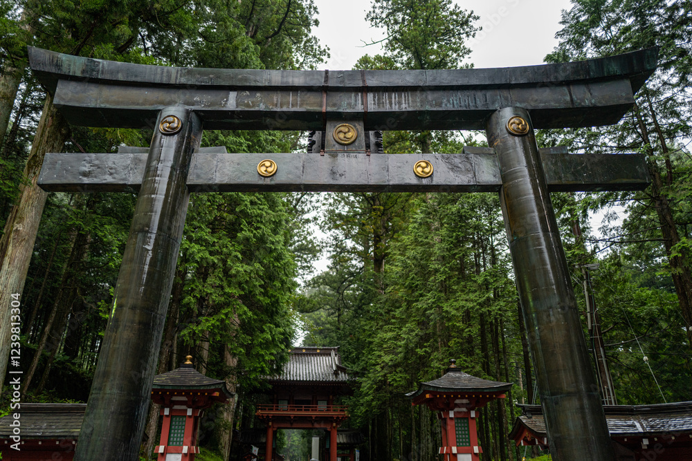 A majestic bronze torii gate stands tall, surrounded by a vibrant green forest, leading to a serene Japanese shrine. A majestic bronze torii gate stands tall, surrounded by a vibrant green forest, leading to a serene Japanese shrine.