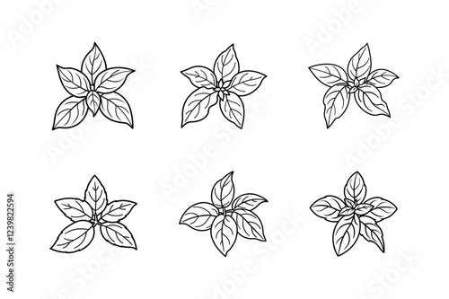 basil icon line art vector illustration