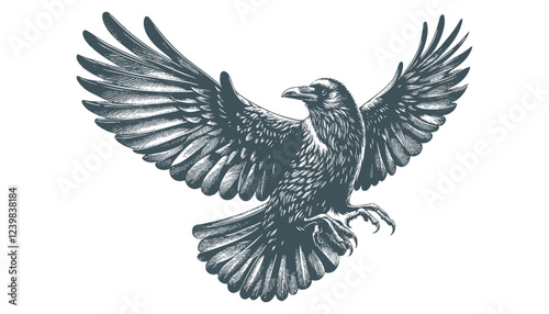 crow vector, raven vector