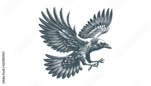 crow vector, raven vector