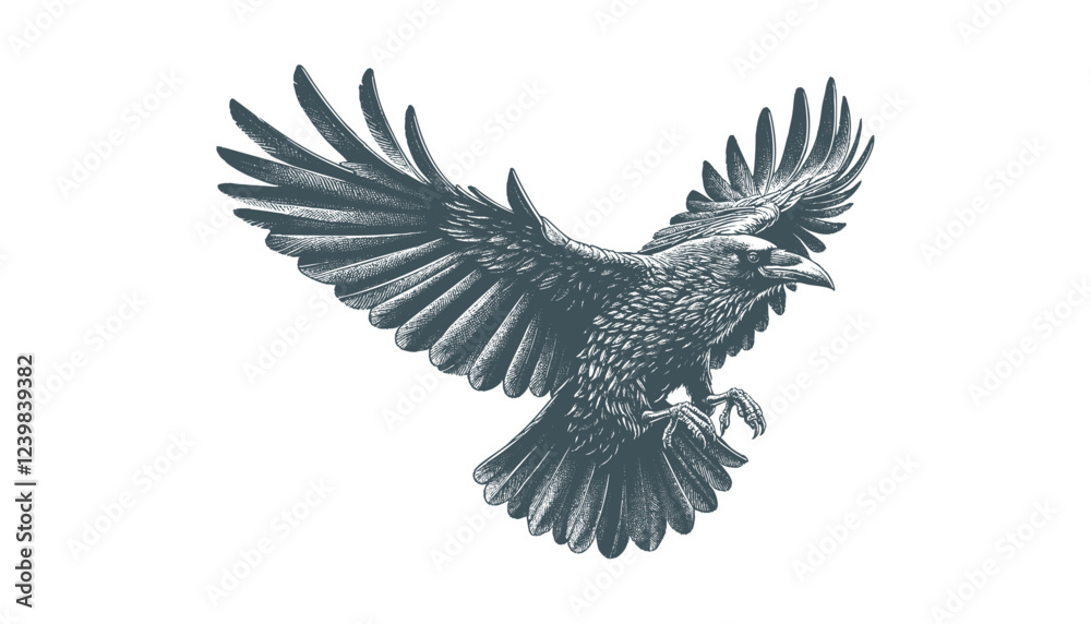 Obraz premium crow vector, raven vector