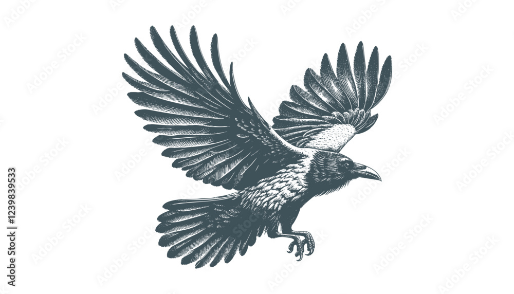 Obraz premium crow vector, raven vector