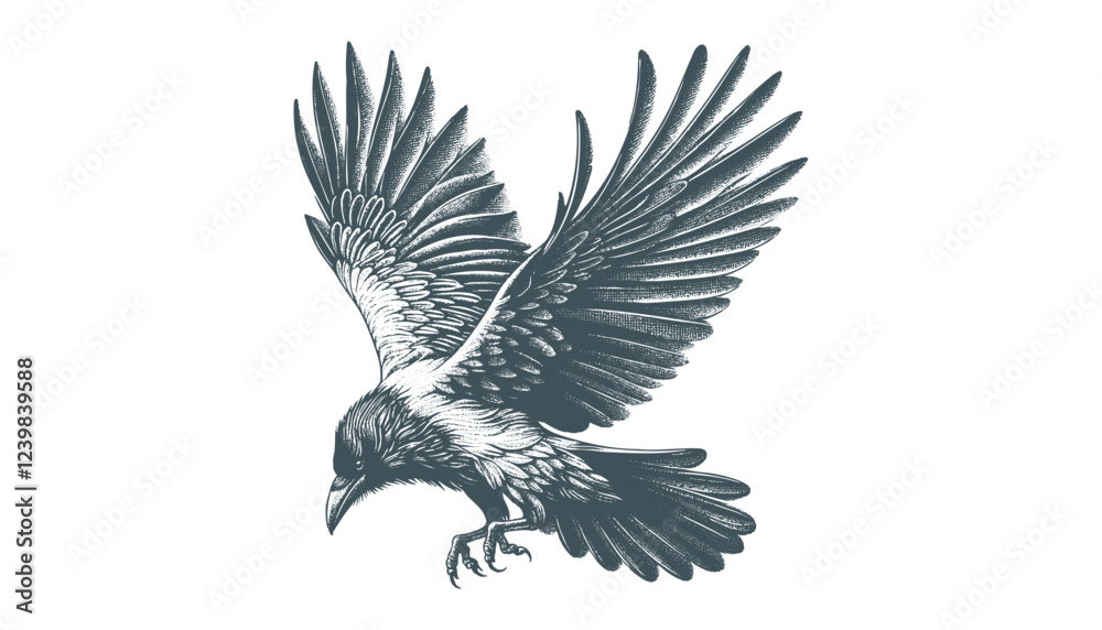 Obraz premium crow vector, raven vector