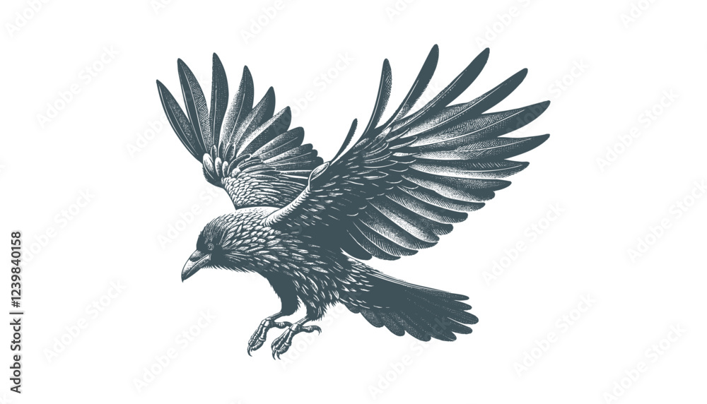 Fototapeta premium crow vector, raven vector