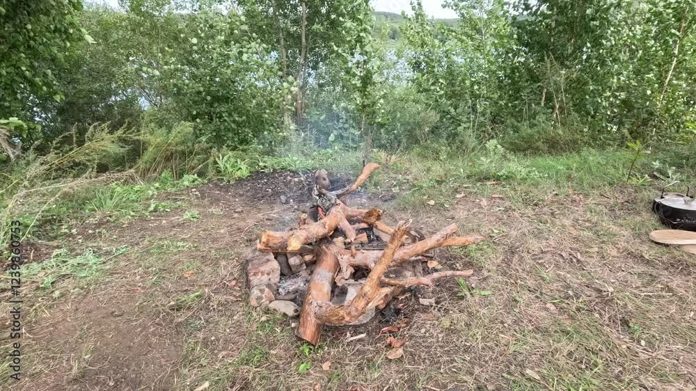 A fire is burning in the forest A fire is burning in the forest