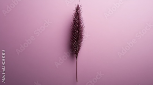 Single Dark Pink Palm Leaf on Pink Background photo