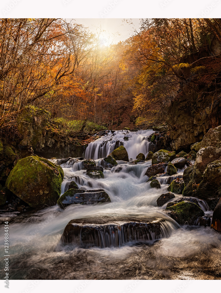 Fototapeta premium Nagano Autumn