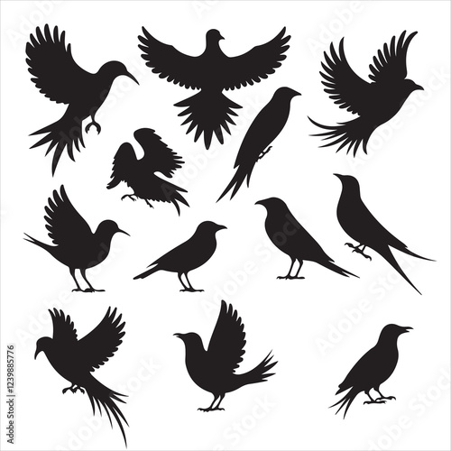 set of black various bird silhouette for graphic resources