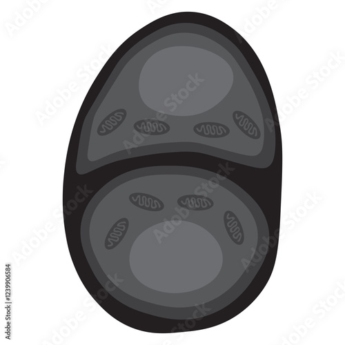 chondrocytes glyph icon