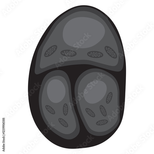 chondrocytes glyph icon