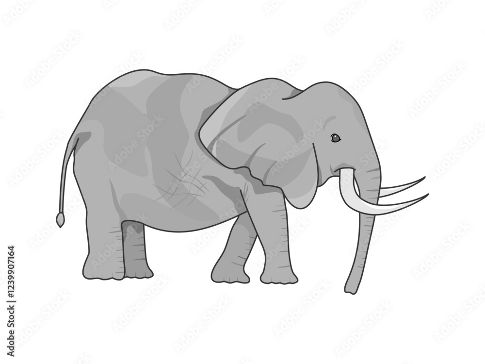 Obraz premium 牙が生えてるアフリカのビッグ5、象