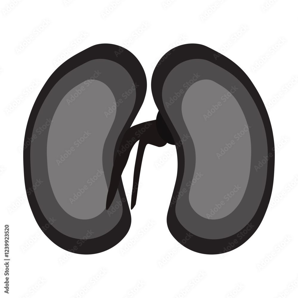 Dicot seed glyph icon Dicot seed glyph icon