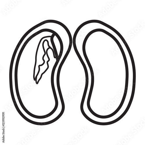 Dicot seed line icon