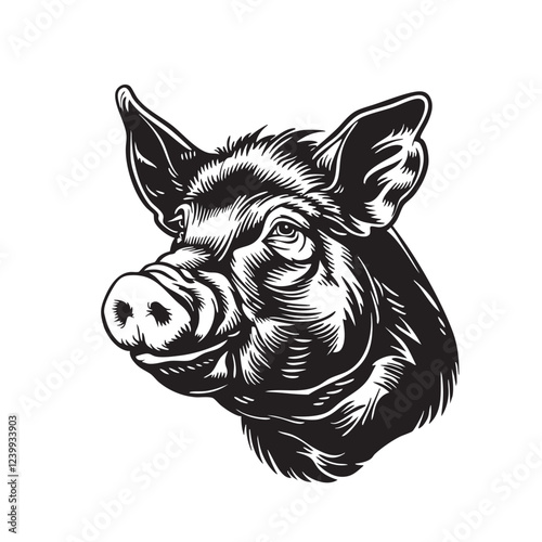 Detailed monochrome vector of a pig head, strong lines, farm animal, livestock, ideal for butcher shops, agriculture, food industry, prints. Farm animals.